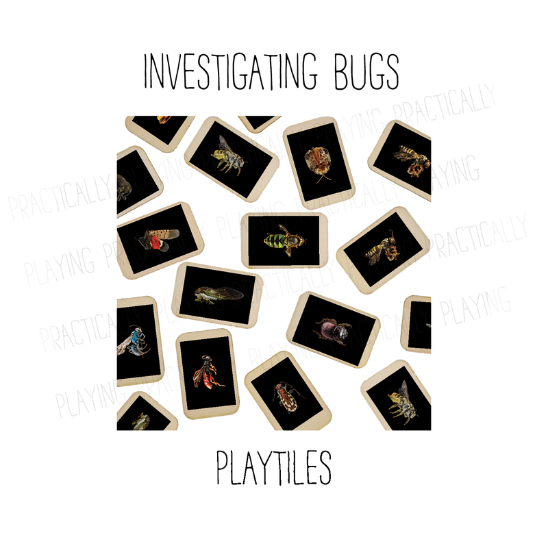 Investigating Bugs PlayTile Mega Pack