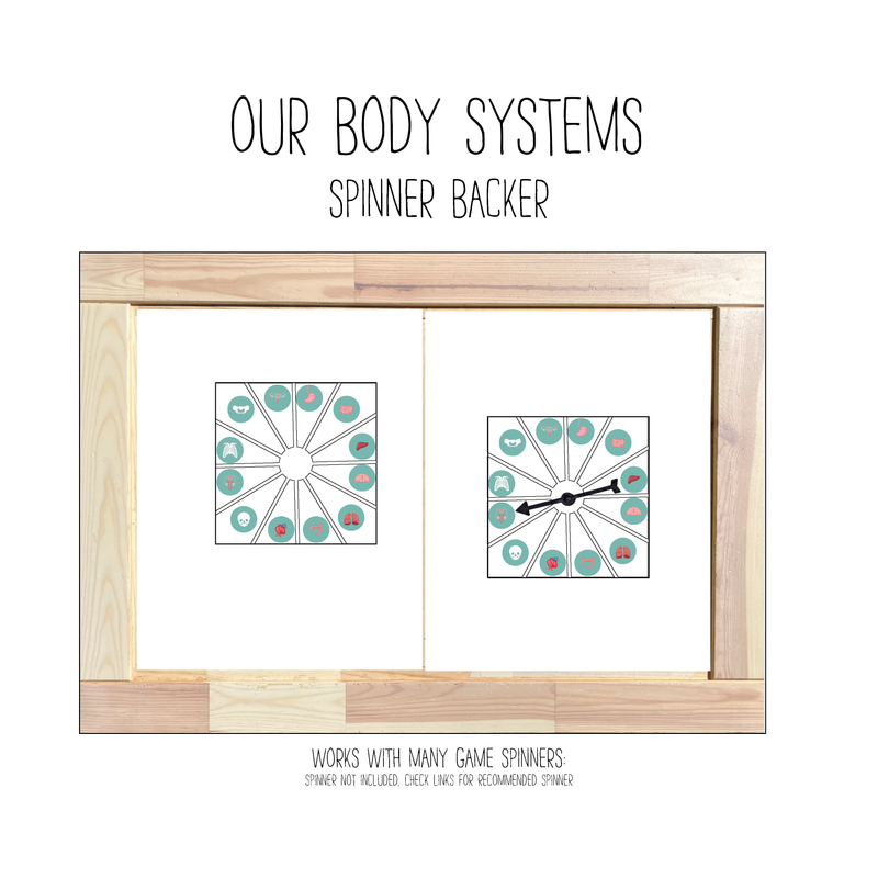 Our Body Systems Spinner