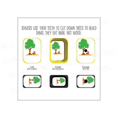 A Beaver’s Tale Printable Insert Pack