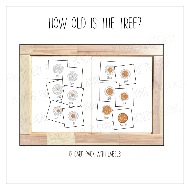 How Old Is This Tree Three Part Cards