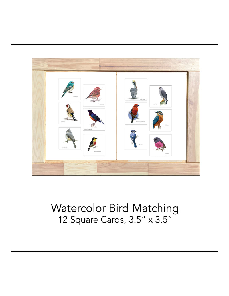 Watercolor Birds Matching Cards