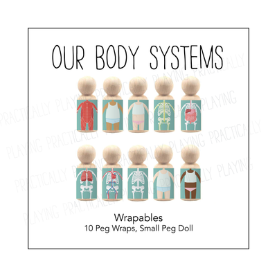Our Body Systems Wrapable Peg Pack