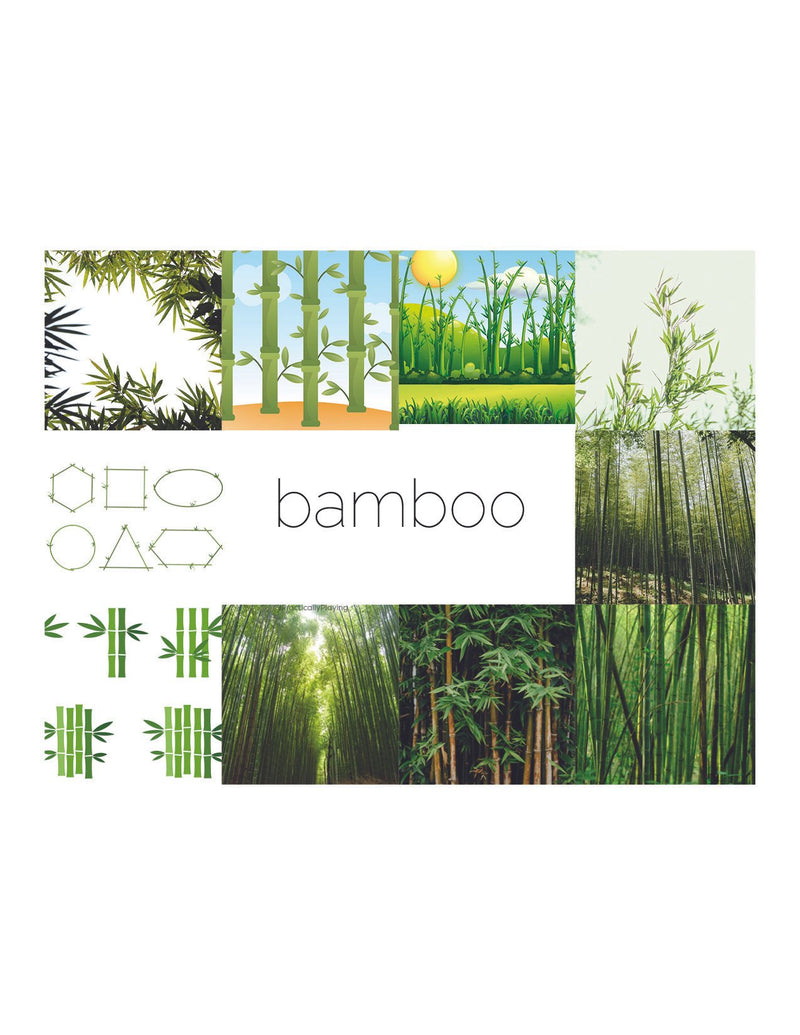 Bamboo Small World Scene Maker