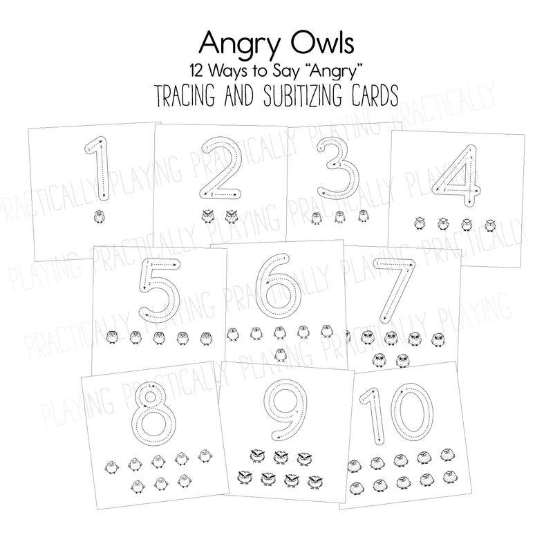 Angry Owls Puzzle and Math Pack Puzzle and Math Pack