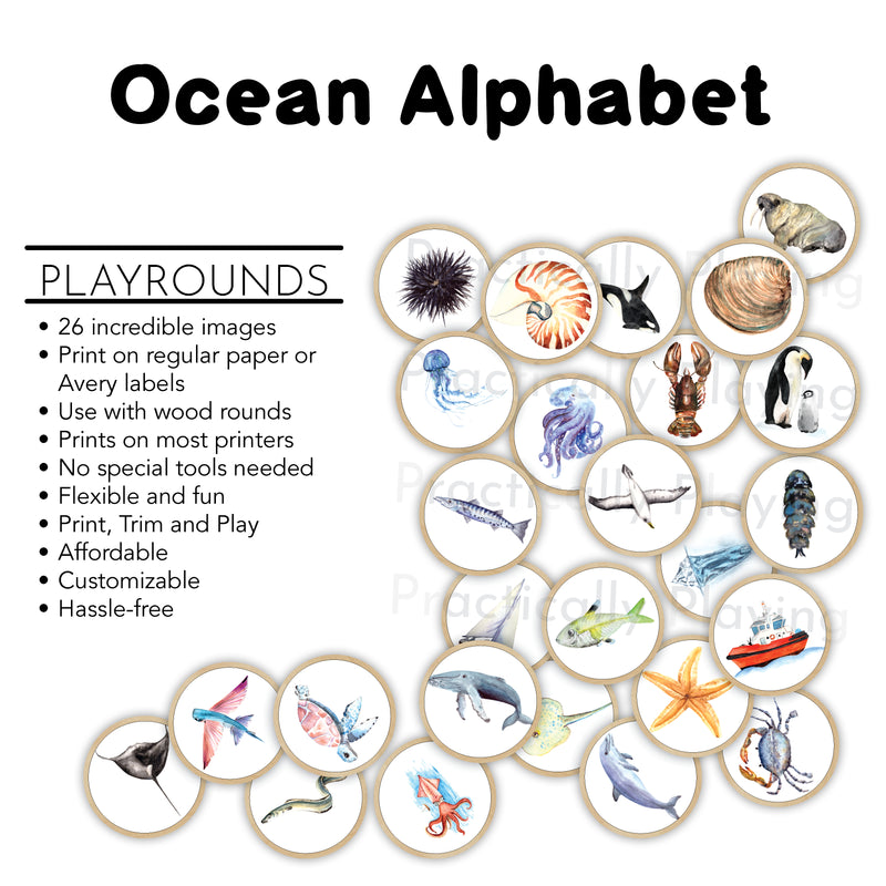 Ocean Alphabet Action Pack: Printable Inserts and Loose Parts