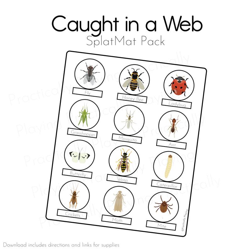 Caught in a Web Expansion Game Essentials Pack: Printable Insert, Game and Loose Parts Pack