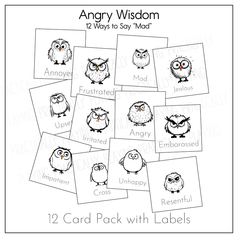 Angry Owls Game Essentials Pack