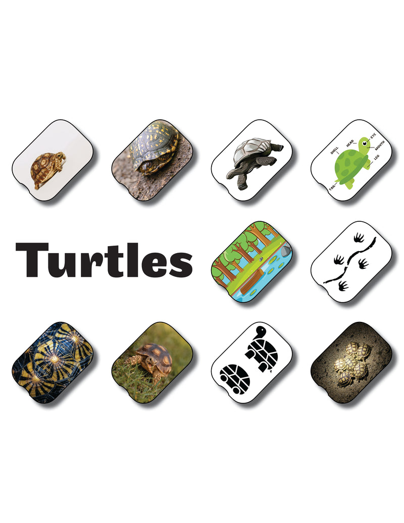 Turtles Insert Pack